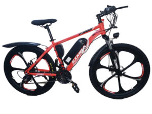 Adult Bicycle