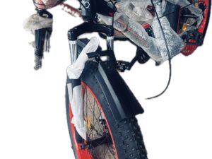 Adult bike (Fat Tire )
